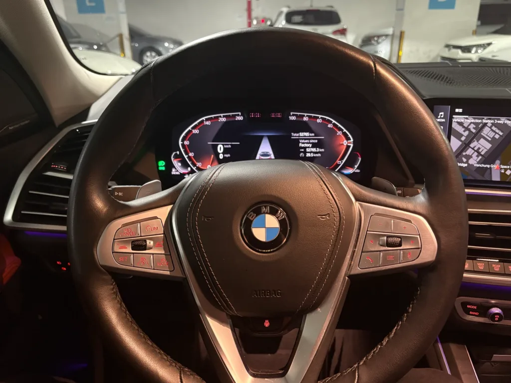 BMW X7 (G07) xDrive40d Design Pure Excellence 6-Seater