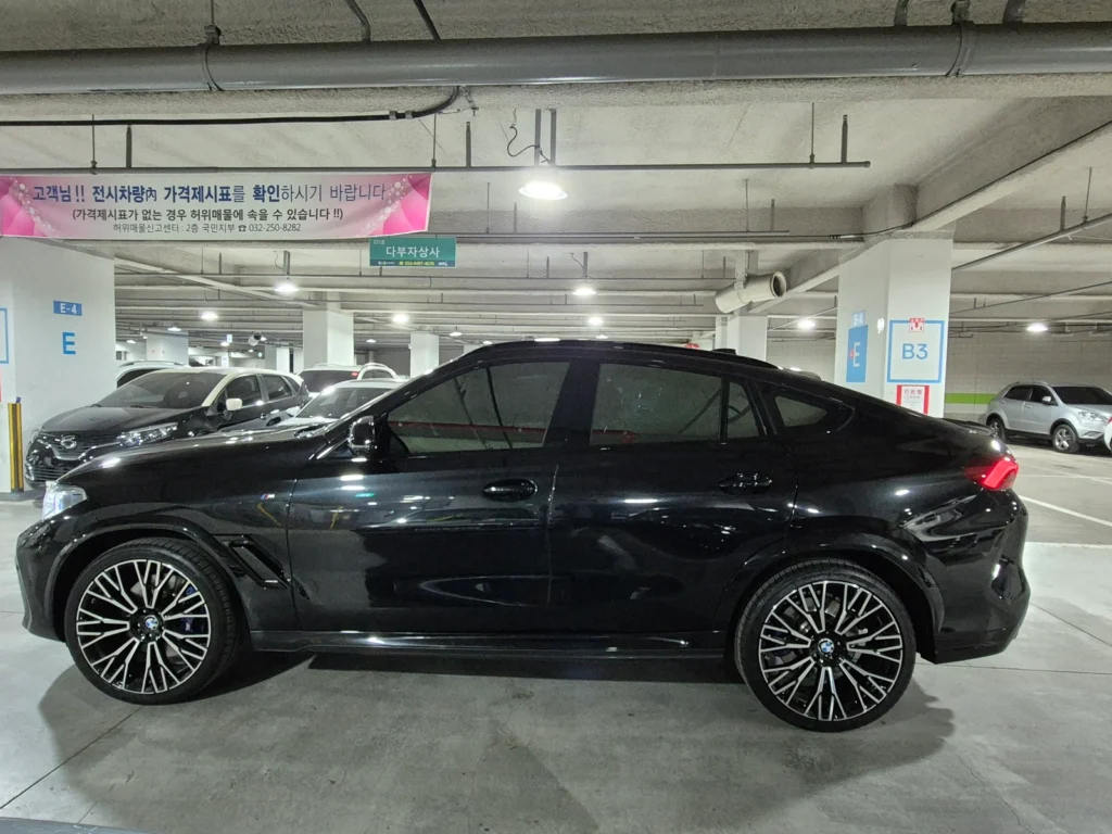 BMW X6 (G06) M50i 25th Anniversary Edition