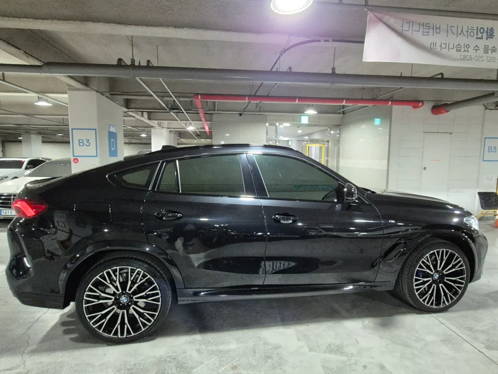 BMW X6 (G06) M50i 25th Anniversary Edition