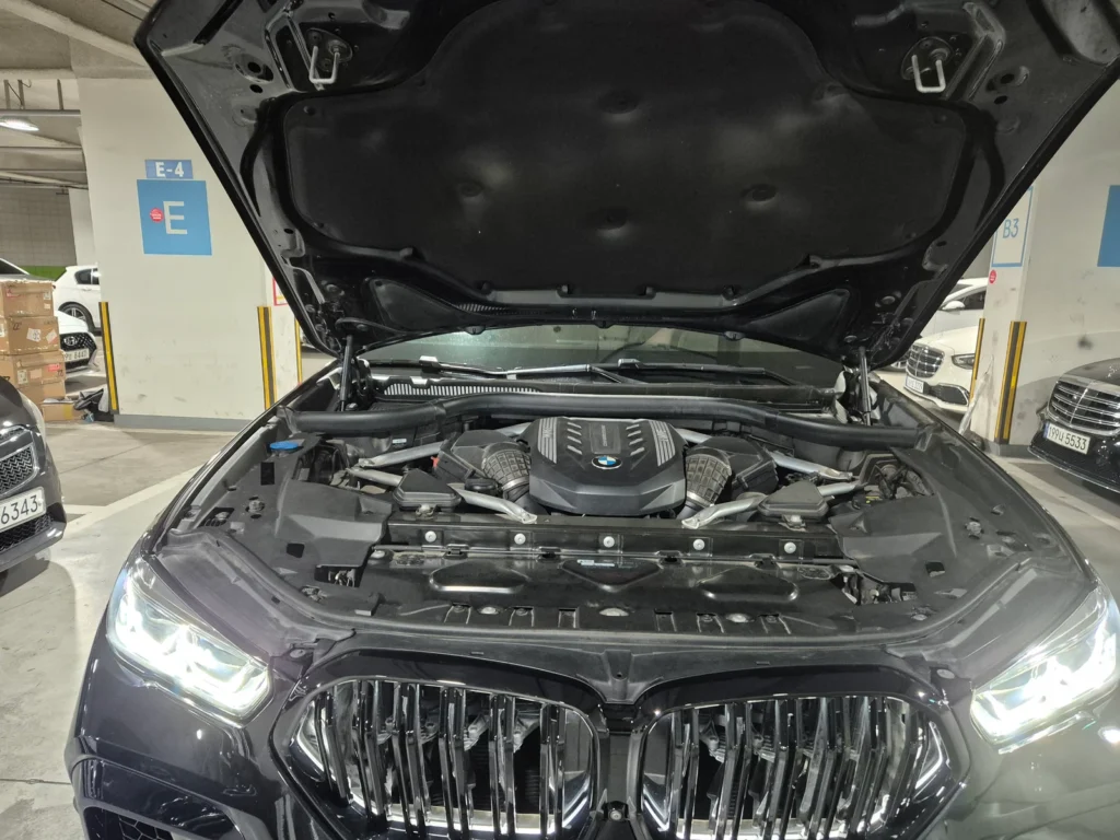 BMW X6 (G06) M50i 25th Anniversary Edition