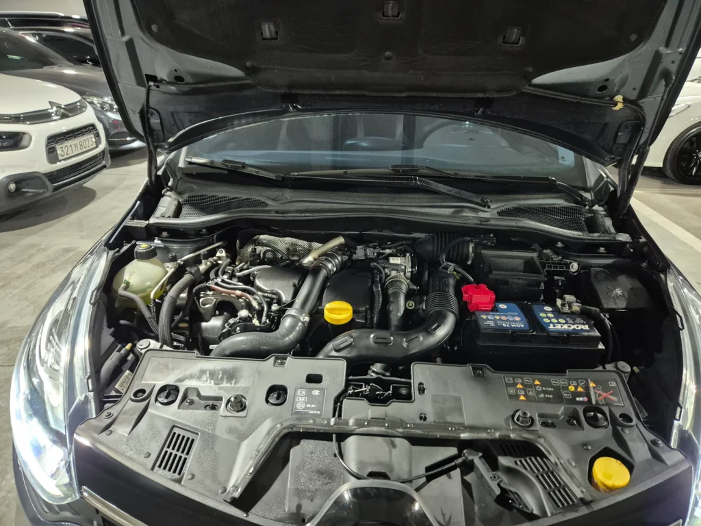 Renault-KoreaSamsung Clio Intens