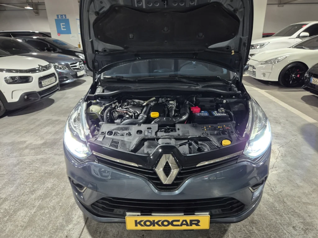 Renault-KoreaSamsung Clio Intens