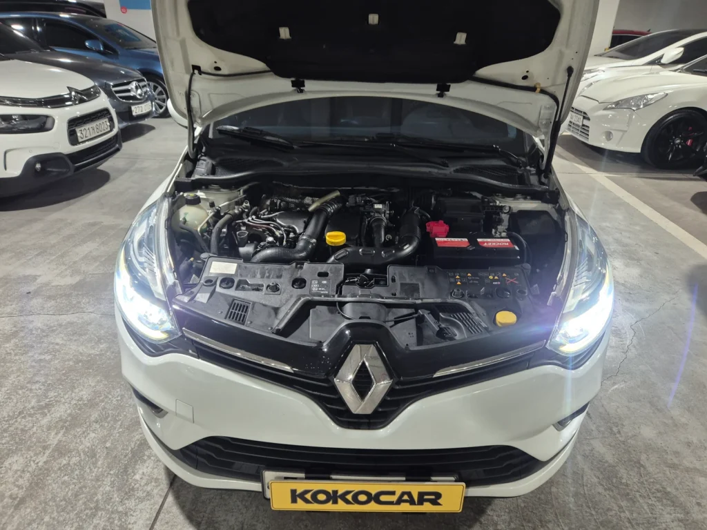 Renault-KoreaSamsung Clio Intens