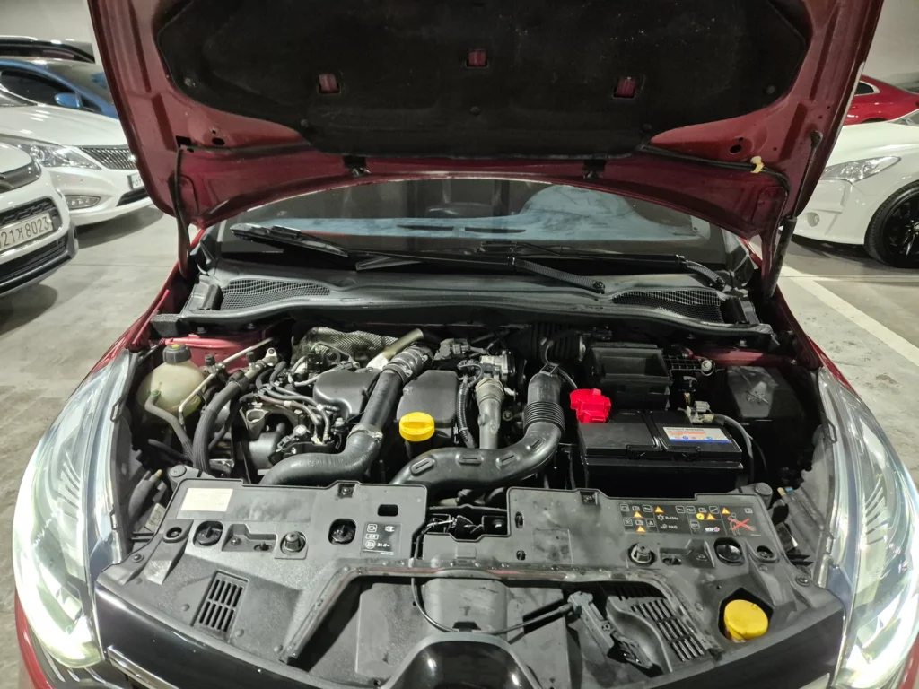 Renault-KoreaSamsung Clio Intens