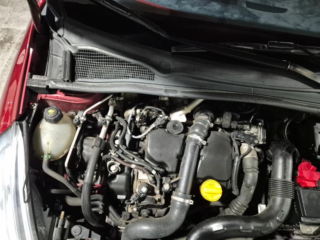 Renault-KoreaSamsung Clio Intens