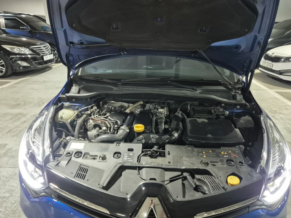 Renault-KoreaSamsung Clio Intens