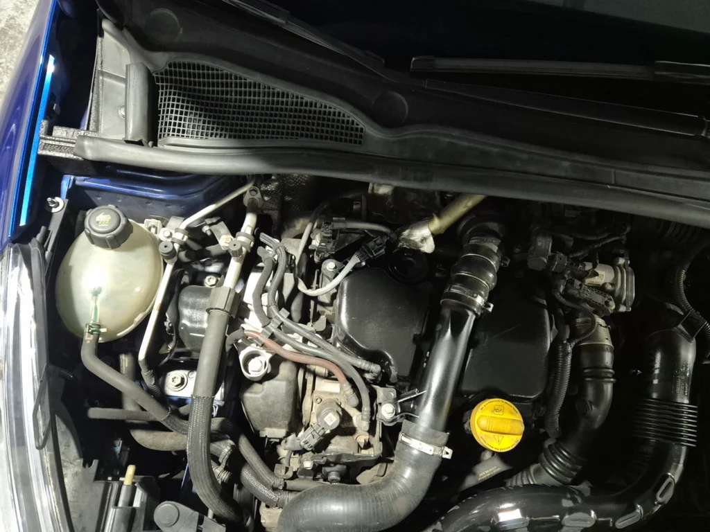 Renault-KoreaSamsung Clio Intens