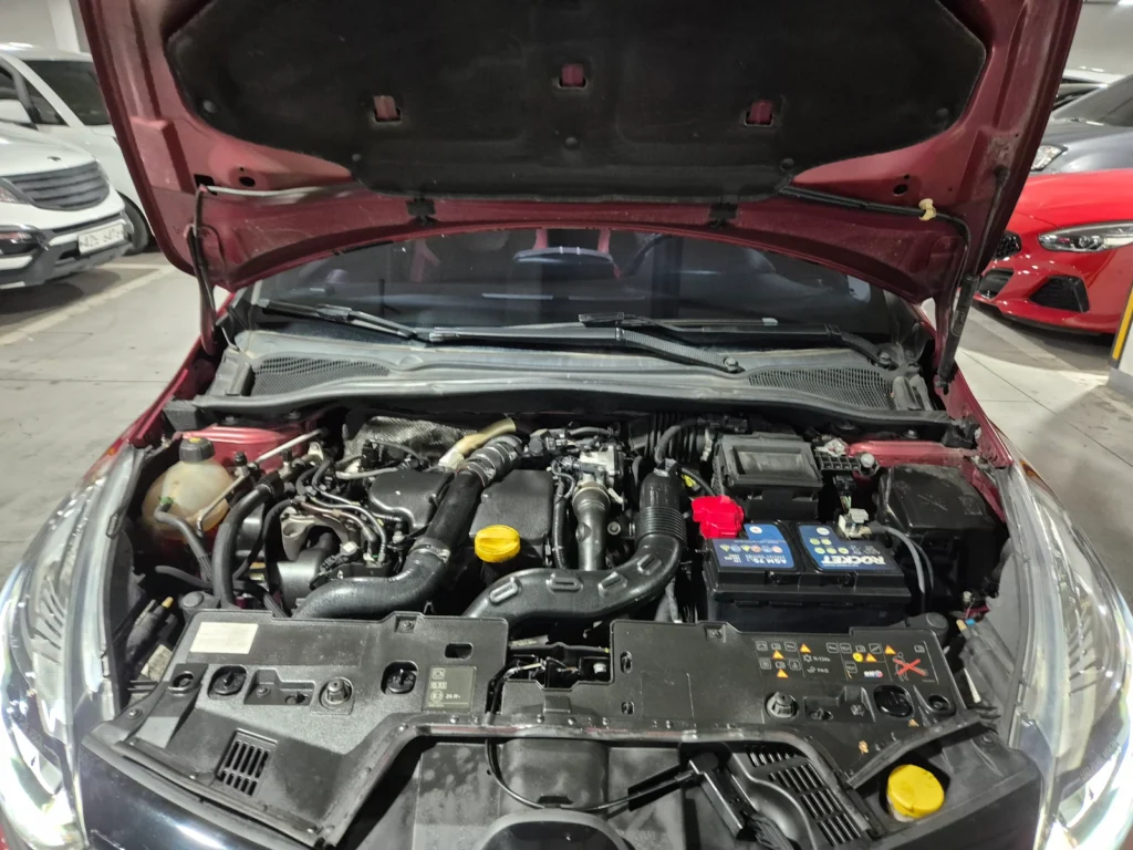 Renault-KoreaSamsung Clio Intens