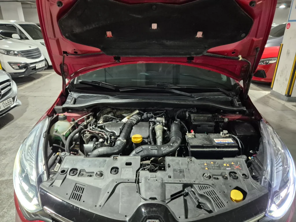 Renault-KoreaSamsung Clio Intens