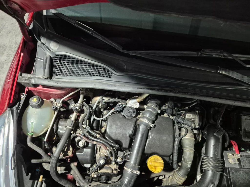 Renault-KoreaSamsung Clio Intens