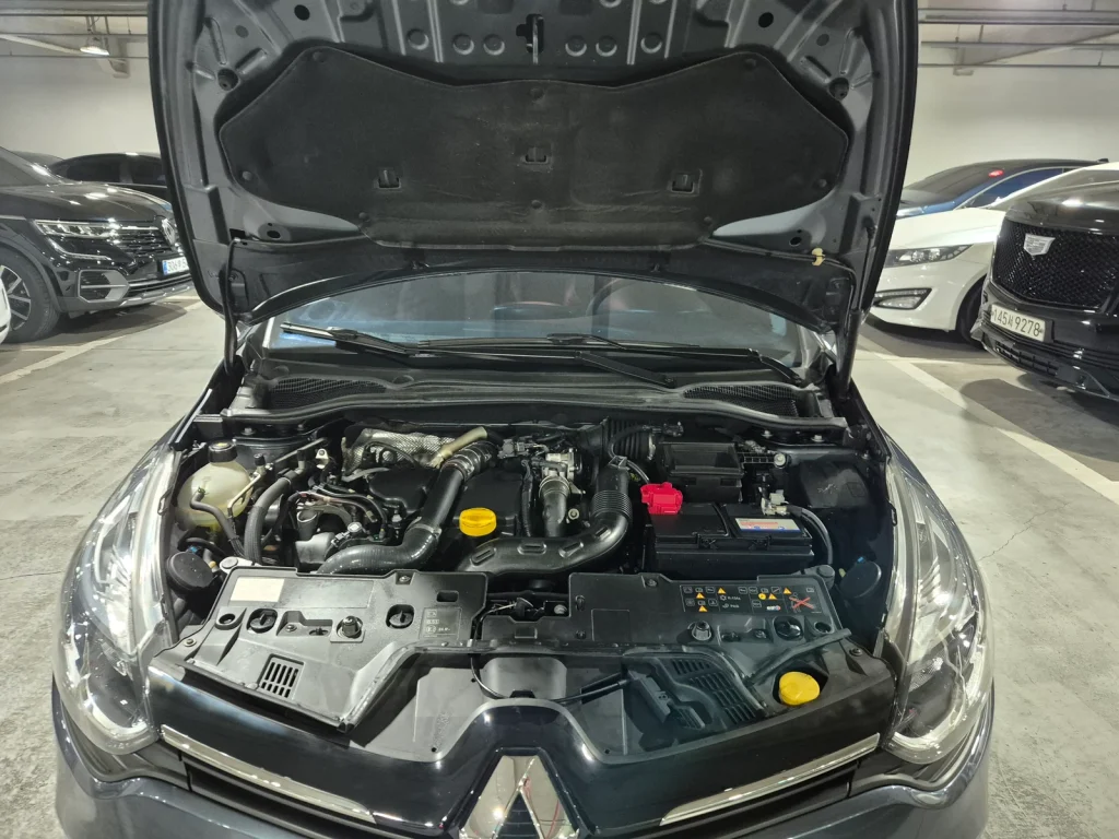 Renault-KoreaSamsung Clio Zen
