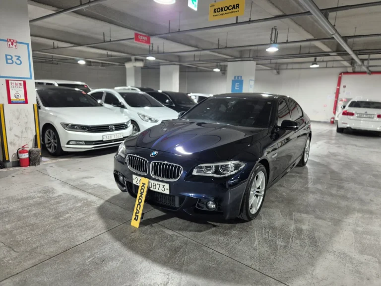 BMW 5 Series (F10) 520d xDrive M Aerodynamic