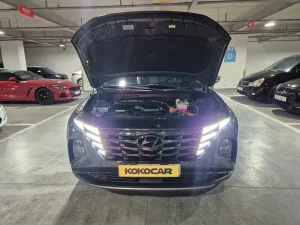 썸네일 43