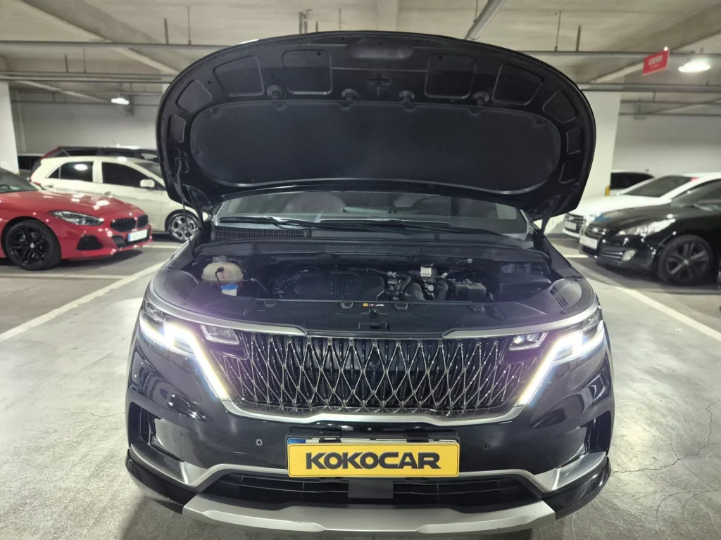Kia Carnival (KA4) Gasoline 9-seater High Limousine